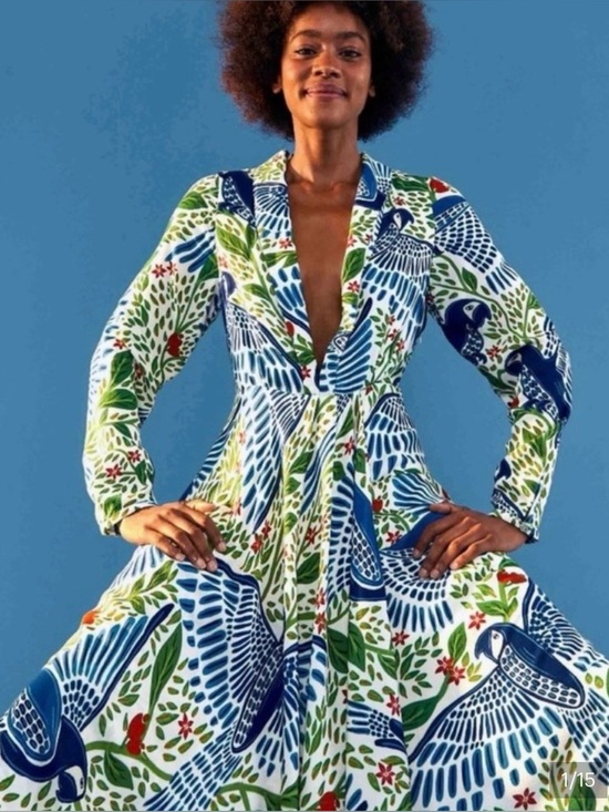 FARM Rio Dresses & Skirts - FARM Rio Blue & Green Plunging V-Neck Maxi Dress with Bird Print